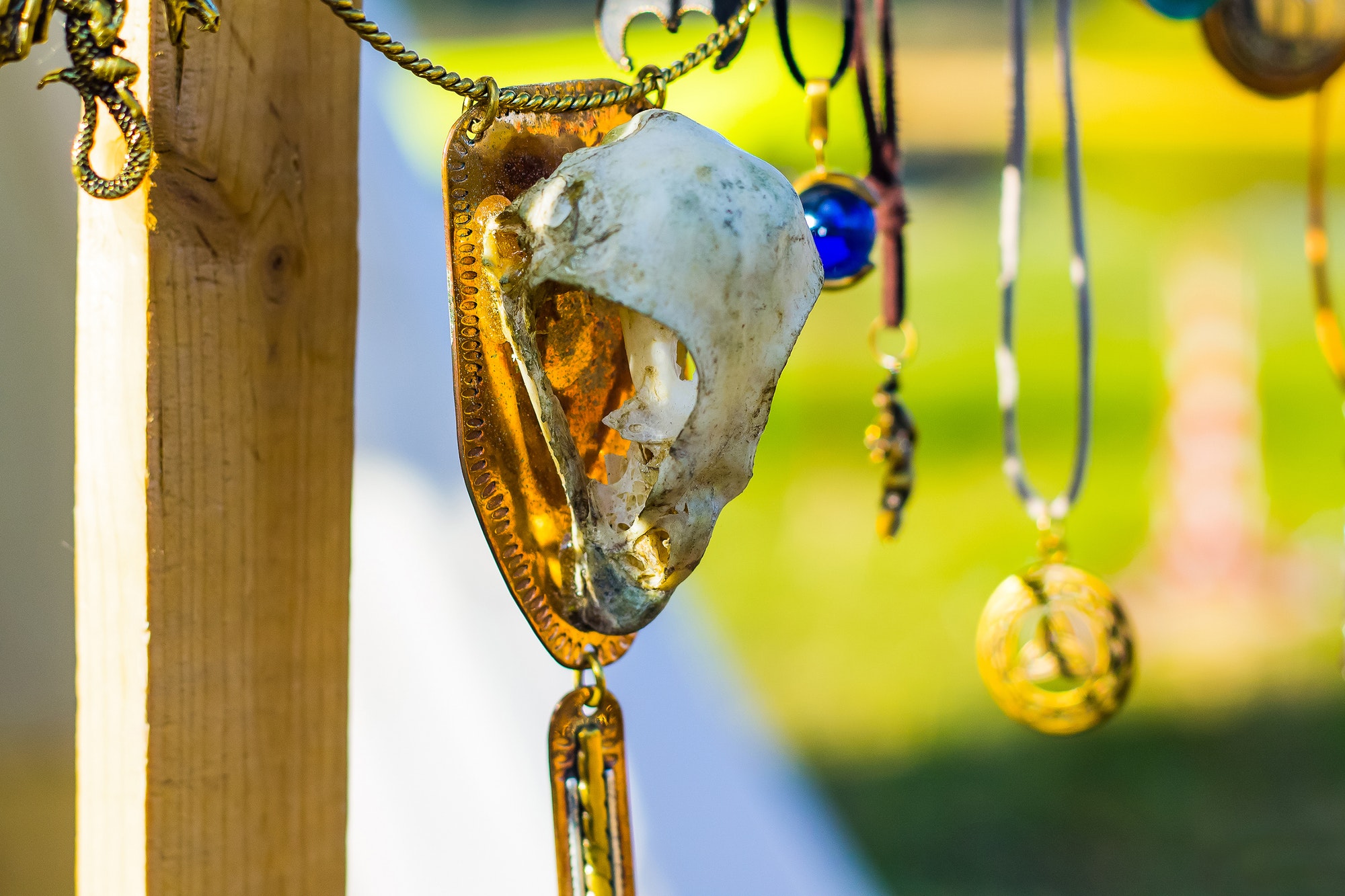 Necklace with skull of the animal. Ethnic amulet for protection. Occult symbol for magical rituals.