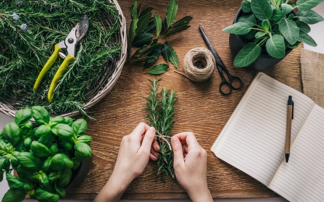 L’herboristerie ésotérique : les plantes au service de la guérison spirituelle